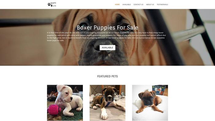 Heightsoflove.com - Boxer Puppy Scam Review