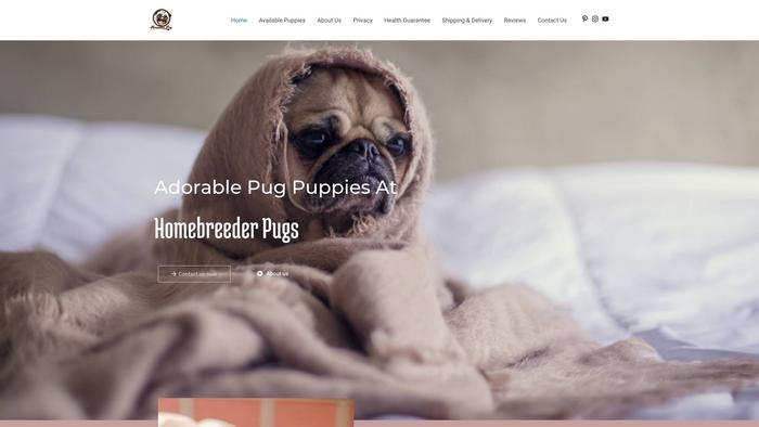 Homebreederpugs.com - Pug Puppy Scam Review