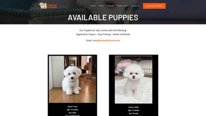 Homeofbichons.com - Bichon Frise Puppy Scam Review