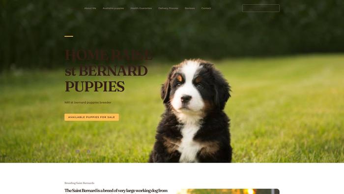 Homeraisedstbernardpuppies.com - Saint Bernard Puppy Scam Review