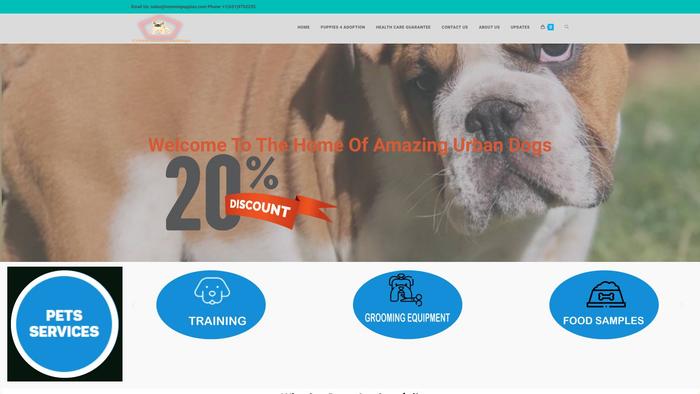 Hommiepuppies.com - French Bulldog Puppy Scam Review