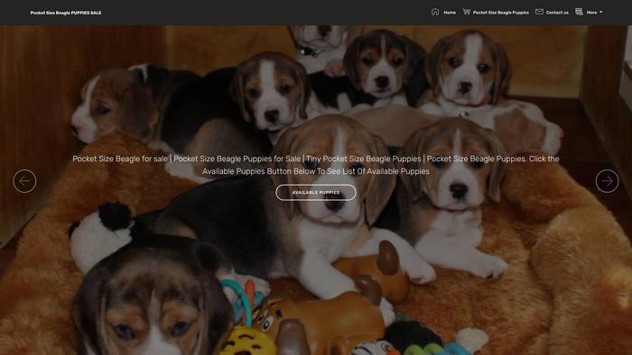 Howtotrainabeaglepuppy.com - Beagle Puppy Scam Review