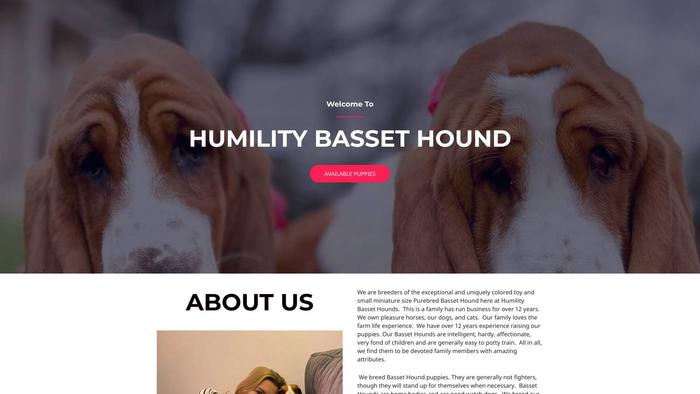 Humilitybassethound.com - Bassethound Puppy Scam Review