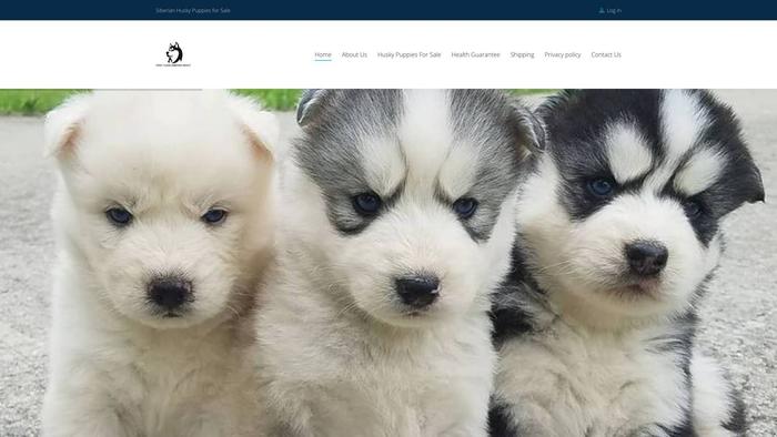 Huskiespuppies.com - Husky Puppy Scam Review