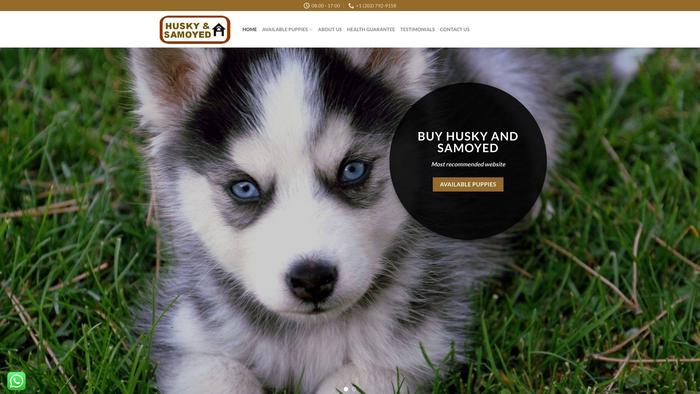 Husky-samoyedhome.com - Husky Puppy Scam Review