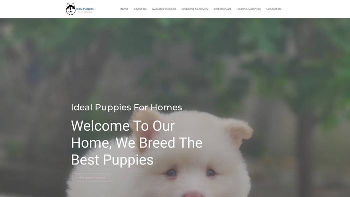 Idealpuppiesforhomes.com - Husky Puppy Scam Review