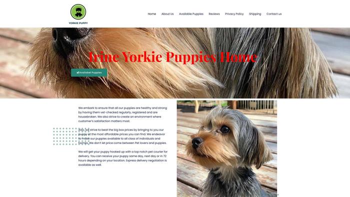 Irineyorkiepuppieshome.com - Yorkshire Terrier Puppy Scam Review