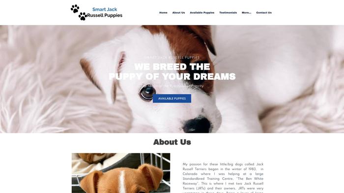 Jackrussellpupshome.com - Jack Russell Terrier Puppy Scam Review