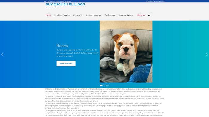 Jackybulldogs.com - English Bulldog Puppy Scam Review