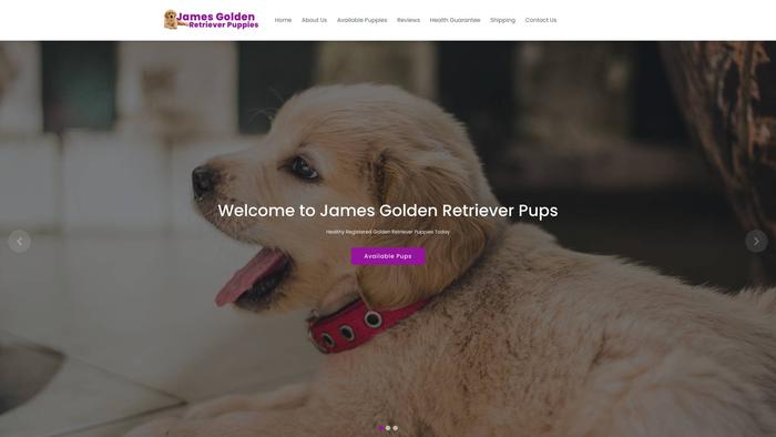 Jamesgoldenretrieverpuppies.com - Golden Retriever Puppy Scam Review