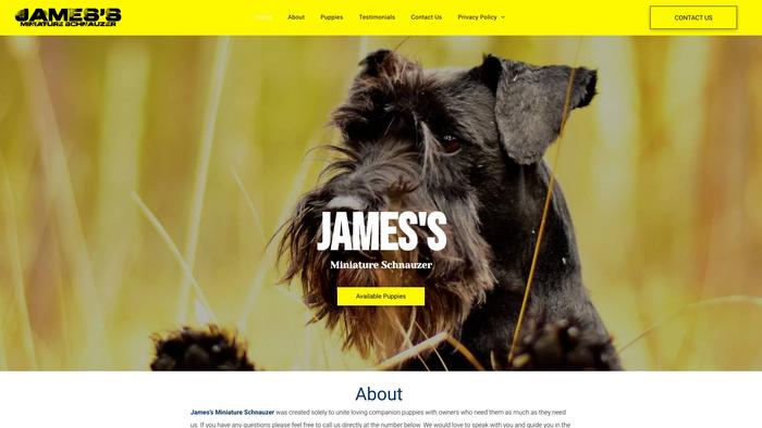 Jamesminiatureschnauzer.com - Schnauzer Puppy Scam Review