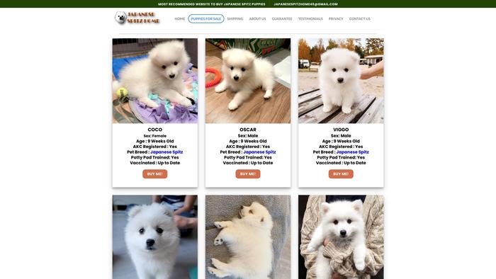 Japanesespitzhome.com - Japanese Spitz Puppy Scam Review