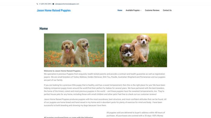 Jasonhomeraisedpuppies.com - Australian Shepherd Puppy Scam Review