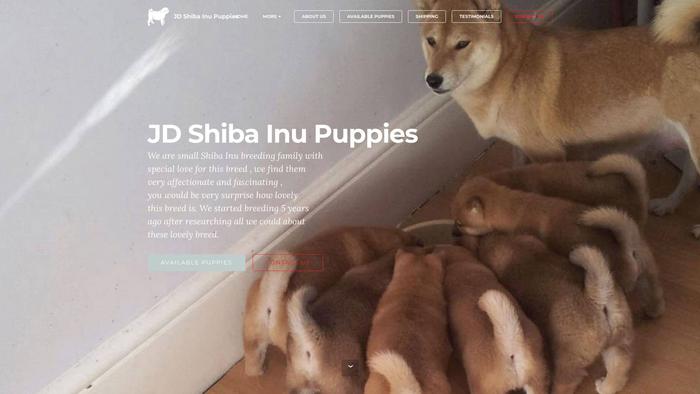 Jdshibainupuppies.com - Shibhainu Puppy Scam Review