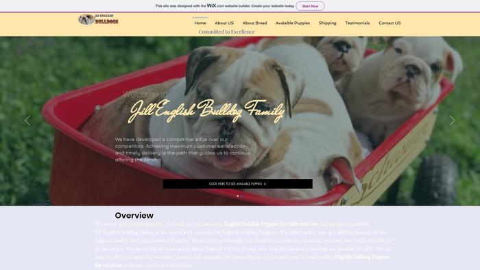 Jillenglishbulldogfamily.site - English Bulldog Puppy Scam Review