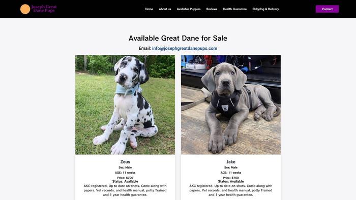 Josephgreatdanepups.com - Great Dane Puppy Scam Review