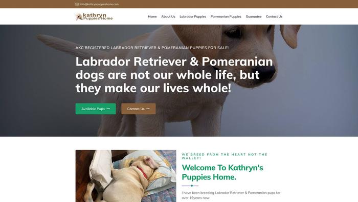 Kathrynpuppieshome.com - Labrador Puppy Scam Review