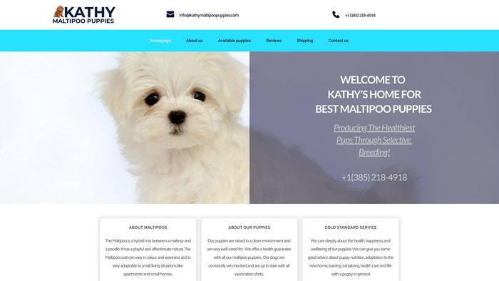 Kathymaltipoopuppies.com - Maltipoo Puppy Scam Review