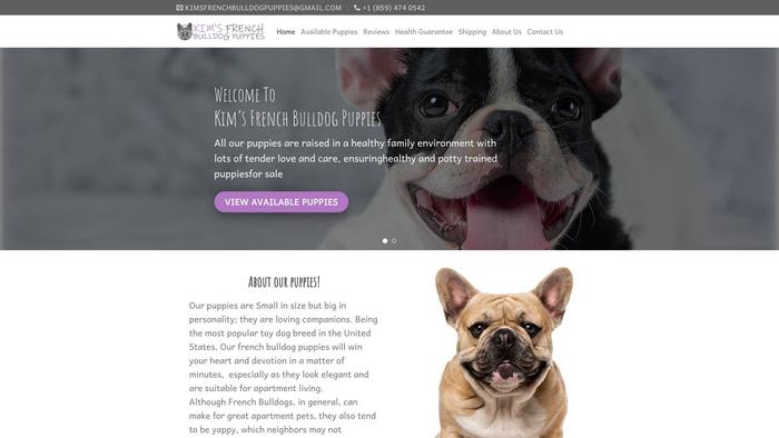 Kimsfrenchbulldogpuppies.com - French Bulldog Puppy Scam Review