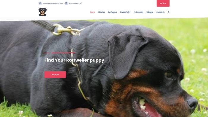 Kingsrottweilerpups.com - Rottweiler Puppy Scam Review