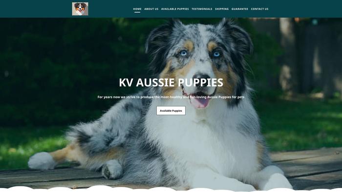 Kvaussiepups.com - Australian Shepherd Puppy Scam Review