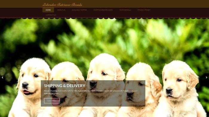 Labradorretrieverbreeds.com - Golden Retriever Puppy Scam Review