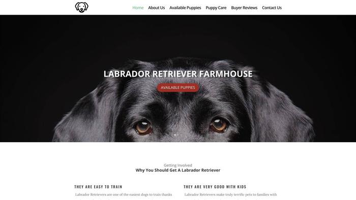 Labradorretrieverfarmhouse.com - Golden Retriever Puppy Scam Review