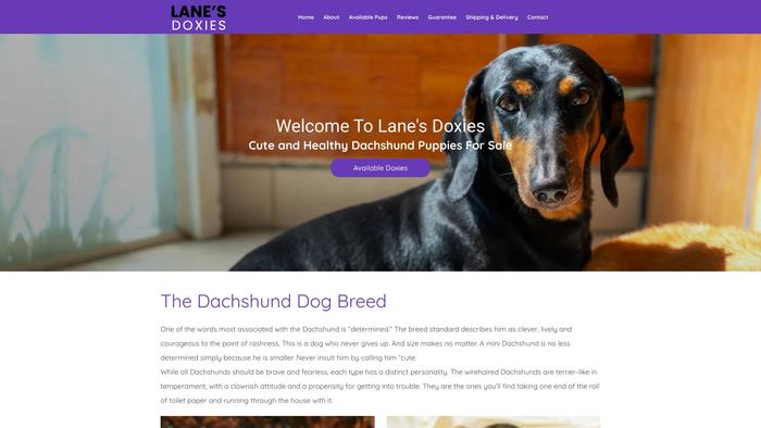 Lanesdoxies.com - Dachshund Puppy Scam Review