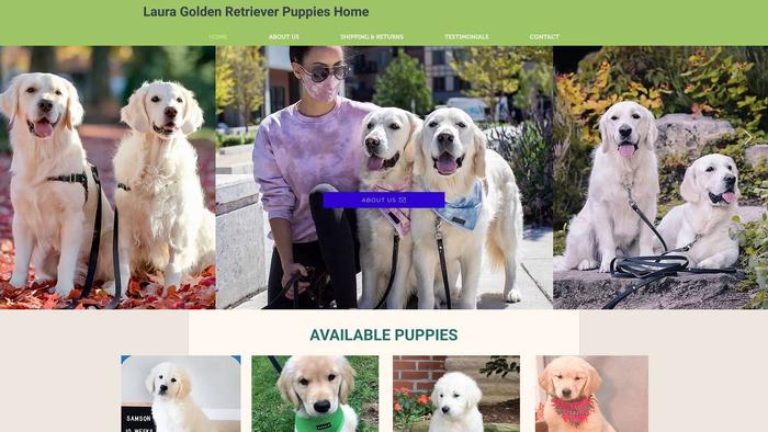 Lauragoldenretrieverpuppieshome.com - Golden Retriever Puppy Scam Review