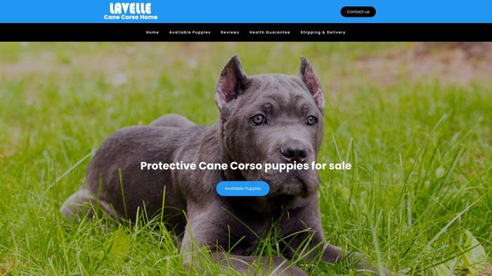 Lavallecanecorsohome.com - Cane Corso Puppy Scam Review