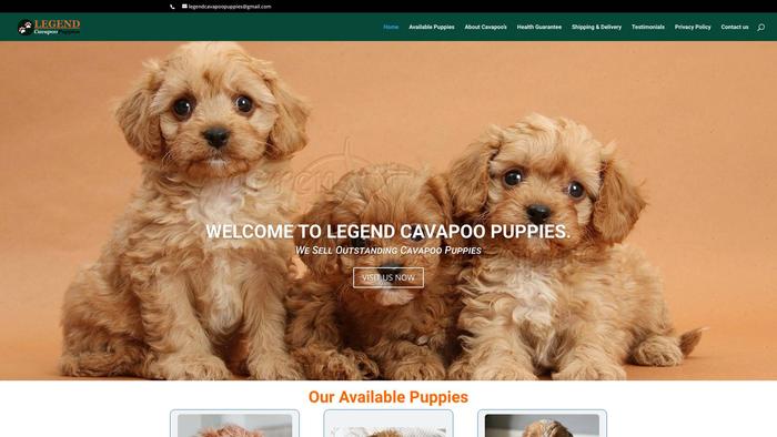 Legendcavapoopuppies.com - Cavapoo Puppy Scam Review