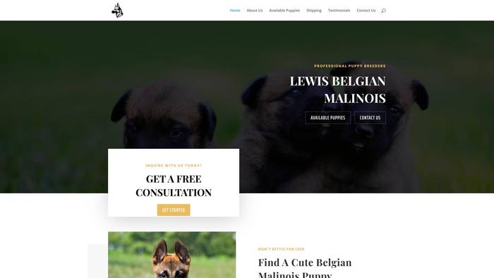 Lewisbelgianmalinois.com - Germanshepherd Puppy Scam Review