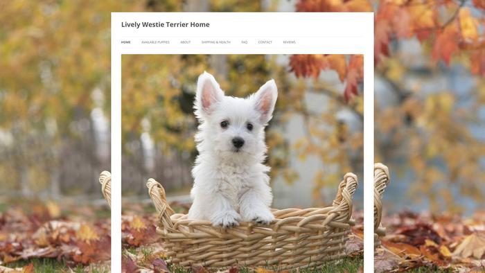 Livelywestieterrierhome.com - Terrier Puppy Scam Review