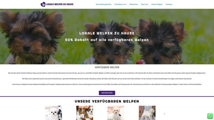 Localpuppieshome.com - Yorkshire Terrier Puppy Scam Review