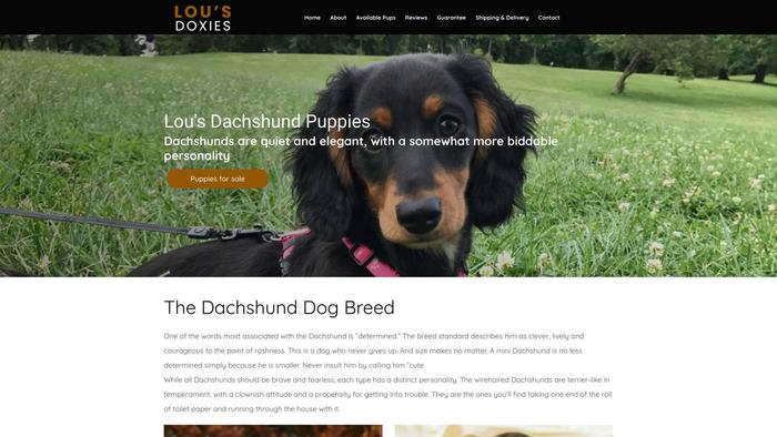 Lousdoxies.com - Dachshund Puppy Scam Review