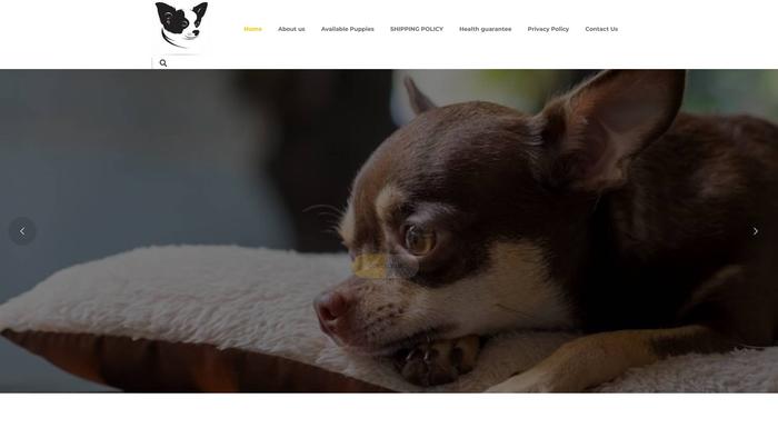 Lovelychihuahuahomes.com - Chihuahua Puppy Scam Review