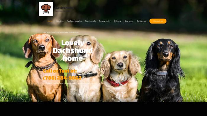 Lovelydachshundpups.com - Dachshund Puppy Scam Review