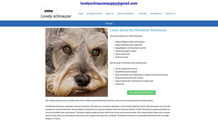 Lovelyschnauzerpuppy.online - Schnauzer Puppy Scam Review