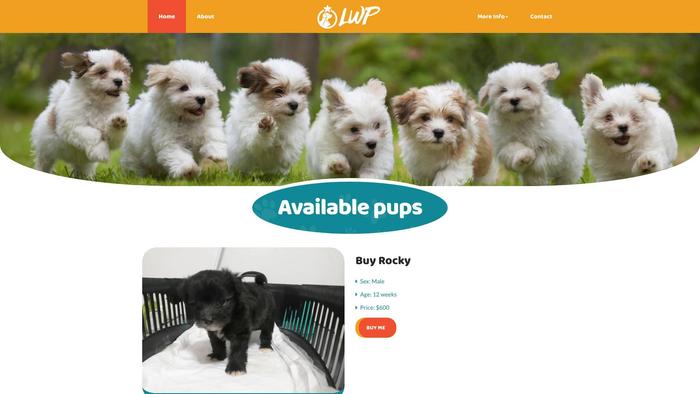 Loveworldpuppies.com - Maltipoo Puppy Scam Review