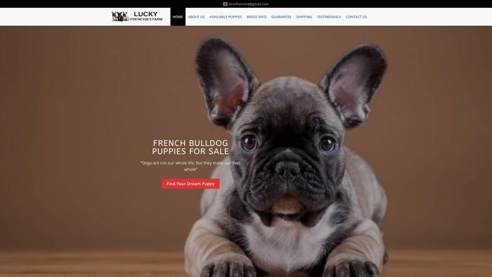 Luckyfrenchiesfarm.com - French Bulldog Puppy Scam Review