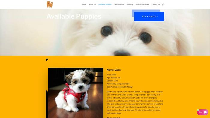 Luxuriousteddybearpuppies.com - Shihtzu Puppy Scam Review