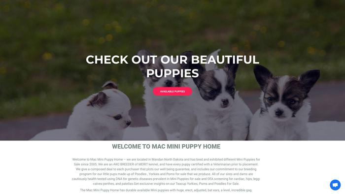 Macminipuppies.com - Yorkshire Terrier Puppy Scam Review