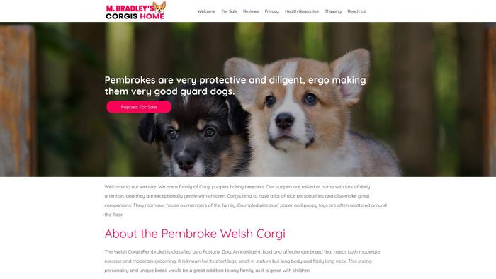 Maconbradleyscorgishome.com - Corgi Puppy Scam Review