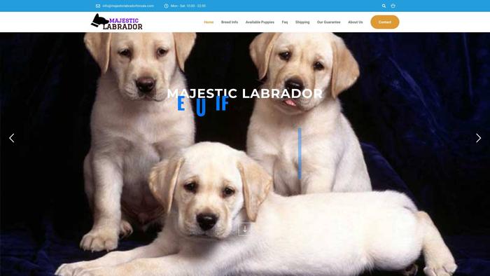 Majesticlabradorforsale.com - Labrador Puppy Scam Review