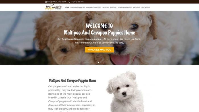 Malticavapuppies.com - Cavapoo Puppy Scam Review