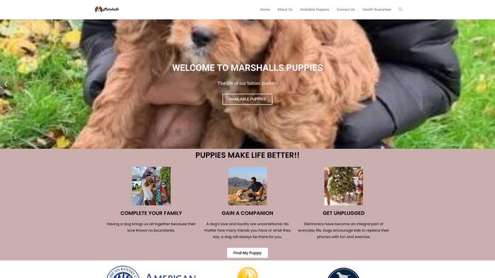 Marshallspuppies.store - Golden Doodle Puppy Scam Review