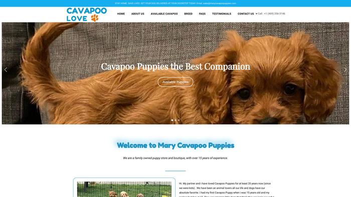 Marycavapoopuppies.com - Cavapoo Puppy Scam Review