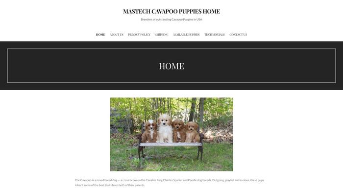 Mastechcavapoos.com - Cavapoo Puppy Scam Review