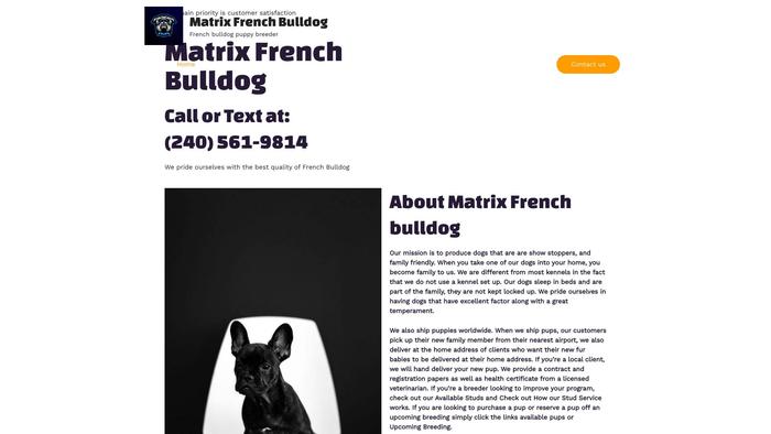 Matrixfrenchies.com - French Bulldog Puppy Scam Review