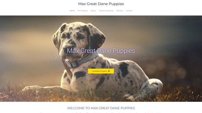 Maxgreatdane.xyz - Great Dane Puppy Scam Review